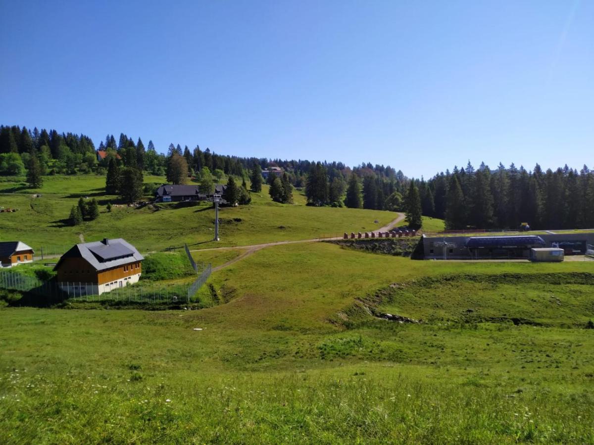 Ferienwohnung Feldberg - Residenz Grafenmatt Feldberg (Baden-Wurttemberg) Exterior foto